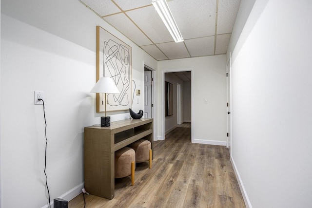 corridor featuring wood-type flooring and a drop ceiling