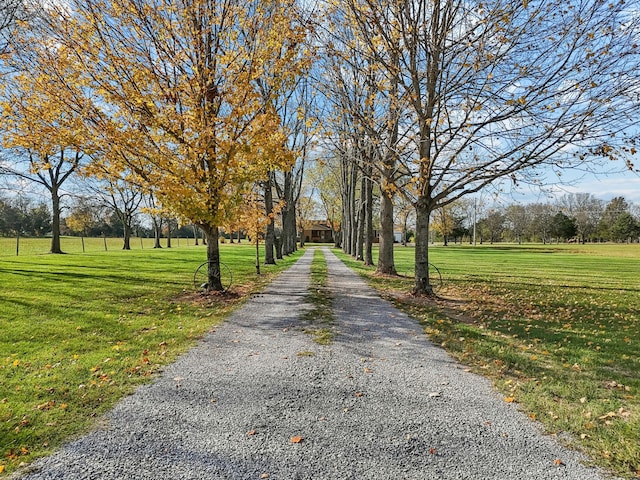 view of community featuring a yard