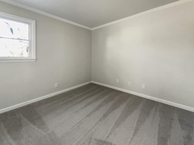 spare room with dark colored carpet and ornamental molding