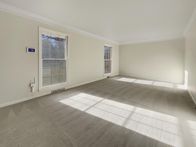 spare room featuring crown molding and carpet