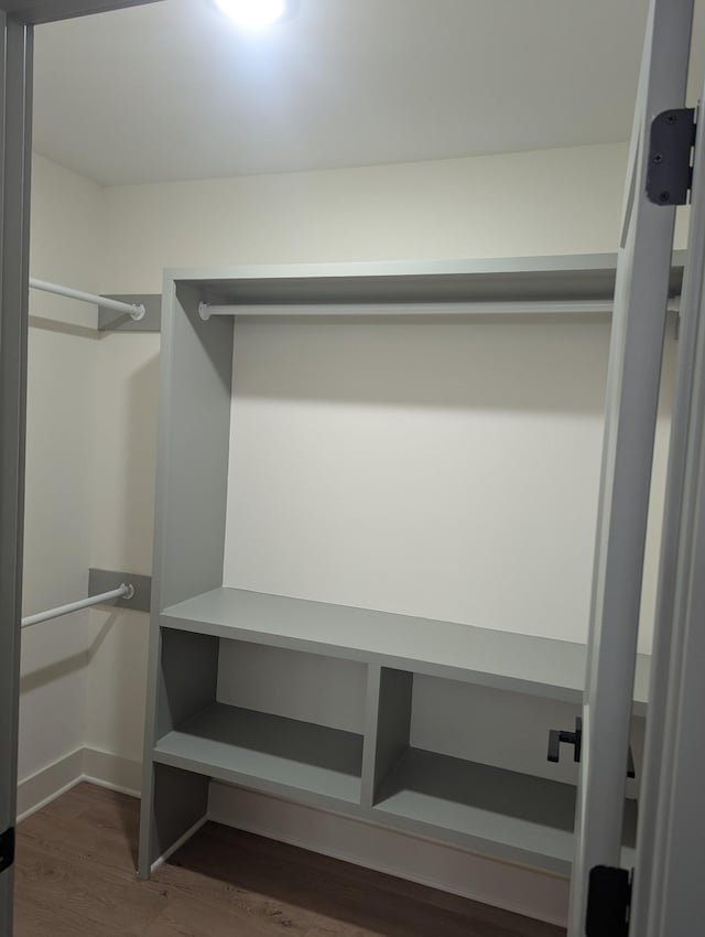 walk in closet with dark wood-type flooring