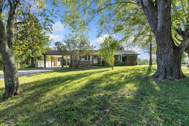 view of front facade featuring a carport and a front yard