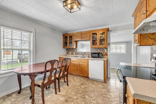 kitchen with crown molding, sink, white dishwasher, and stainless steel range with electric stovetop