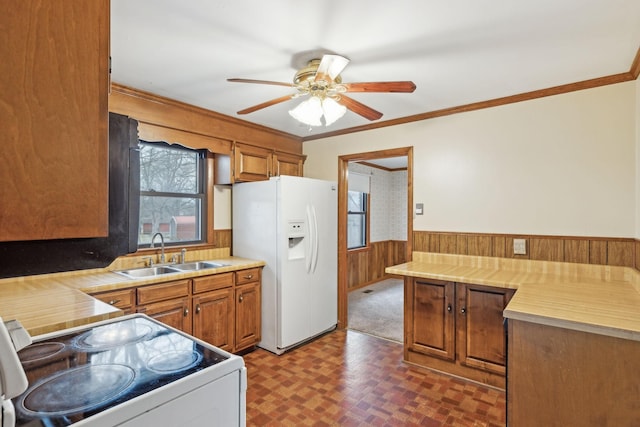 kitchen with sink, wood walls, white appliances, ornamental molding, and ceiling fan