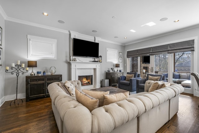 living room featuring a tiled fireplace, crown molding, and dark wood-type flooring