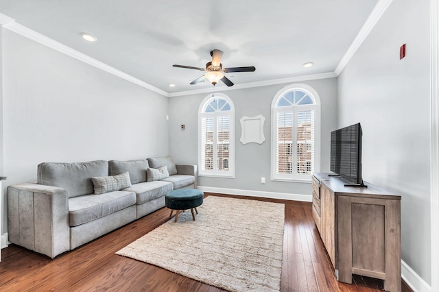 living room with crown molding, dark wood-type flooring, and ceiling fan