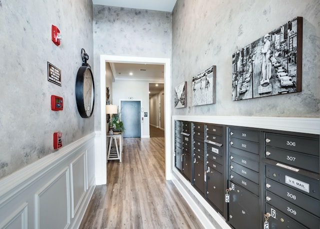 hallway with crown molding, wood-type flooring, and a mail area