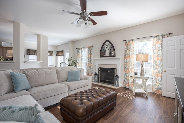 living room featuring dark hardwood / wood-style flooring, a wealth of natural light, and ceiling fan