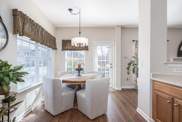 dining area featuring dark hardwood / wood-style floors