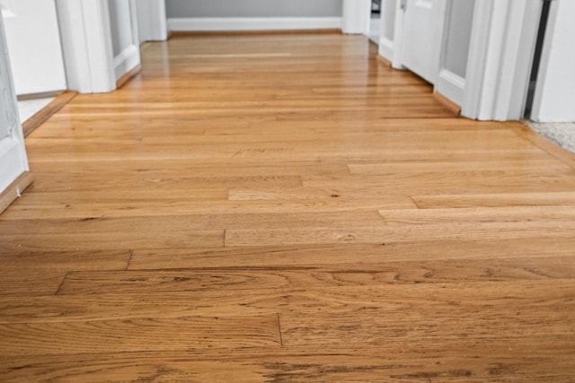 corridor featuring light hardwood / wood-style floors