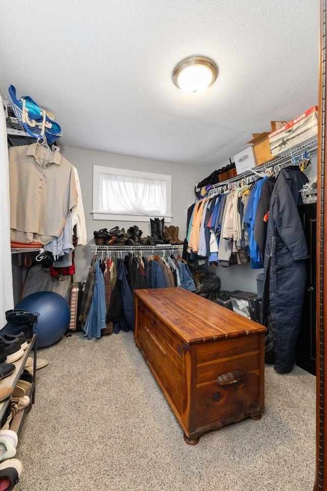 spacious closet featuring light carpet