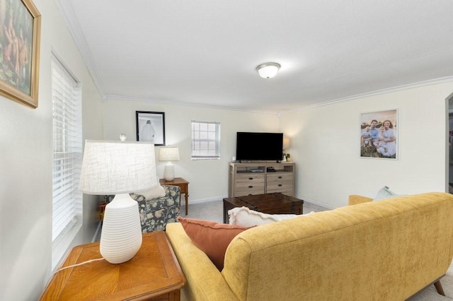 living room with ornamental molding and carpet flooring