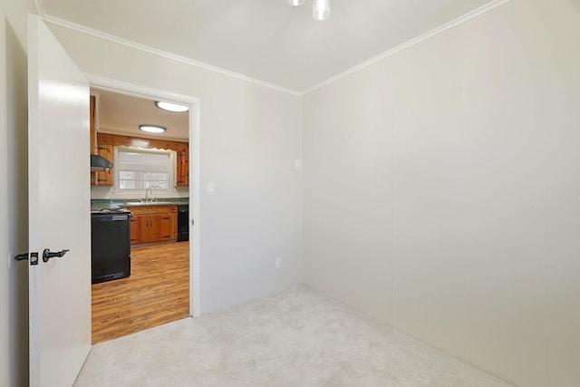 carpeted spare room featuring ornamental molding and sink