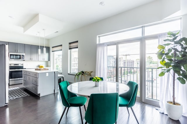 dining space featuring a healthy amount of sunlight and dark hardwood / wood-style floors