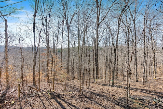 view of landscape