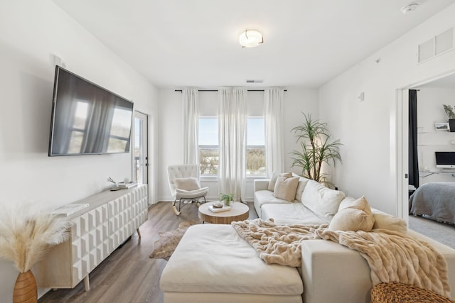 living room featuring hardwood / wood-style flooring