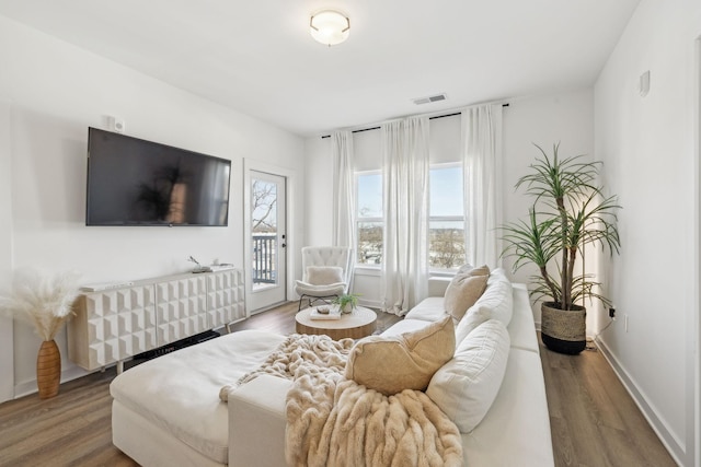 living room featuring hardwood / wood-style flooring