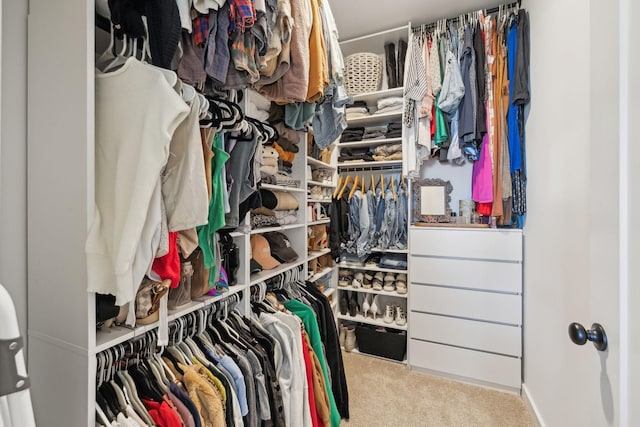 spacious closet featuring light colored carpet