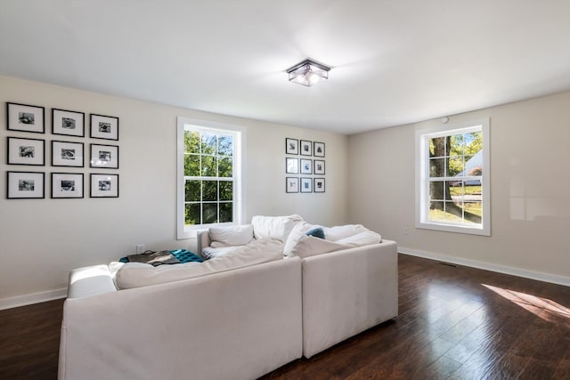 living room featuring dark hardwood / wood-style flooring