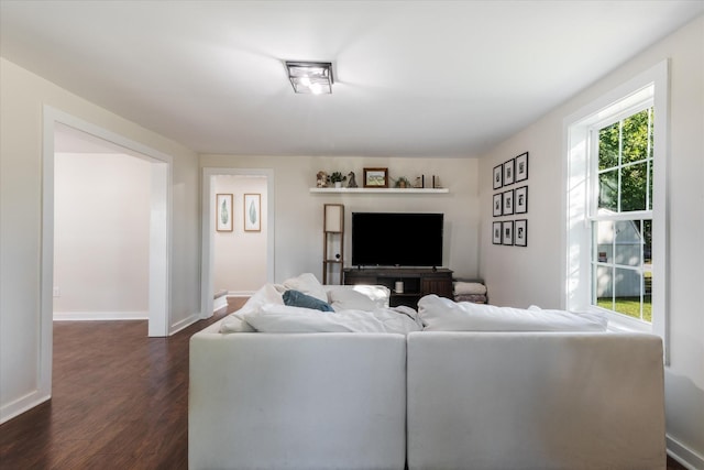 living room featuring dark hardwood / wood-style floors