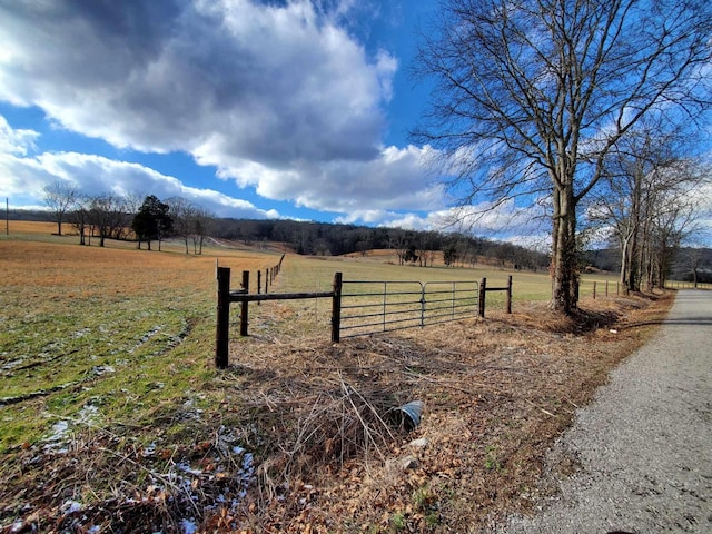 Listing photo 3 for 0 Plunkett Creek Rd, Gordonsville TN 38563