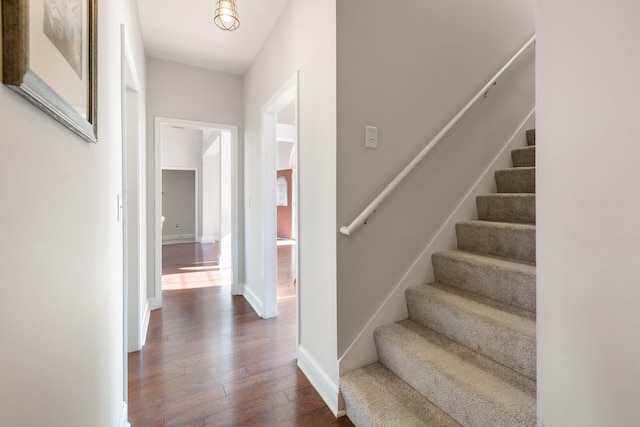 staircase with hardwood / wood-style floors