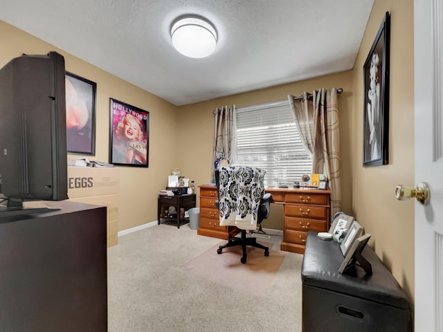 office space featuring light carpet and a textured ceiling