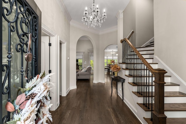 foyer with crown molding, dark hardwood / wood-style floors, and a chandelier