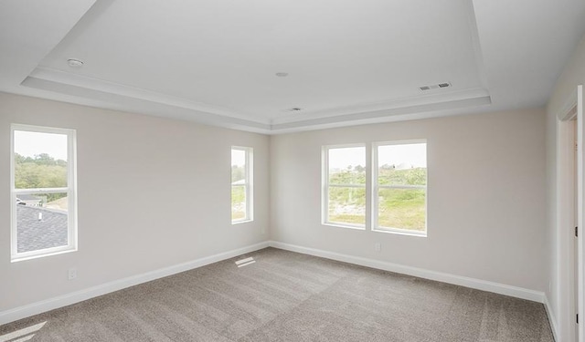 spare room featuring light colored carpet and a tray ceiling