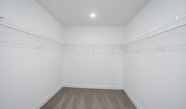 spacious closet with carpet floors