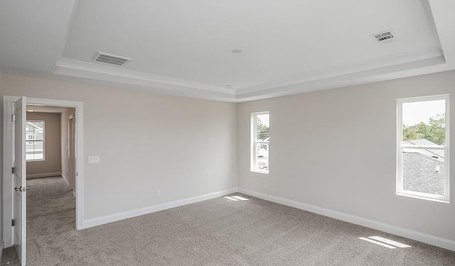 carpeted spare room featuring a wealth of natural light and a raised ceiling