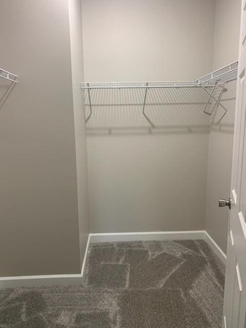 walk in closet with carpet flooring