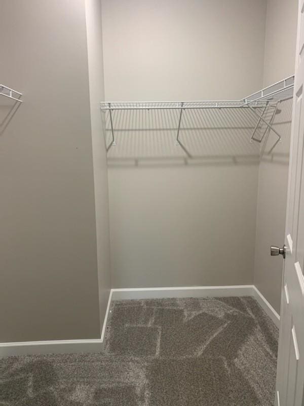 spacious closet with carpet flooring