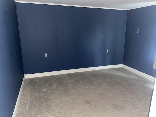 unfurnished room featuring carpet