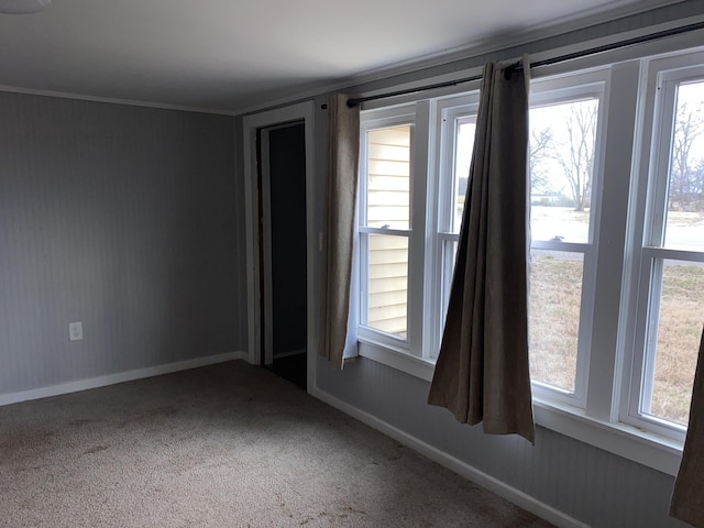 spare room featuring ornamental molding and carpet flooring