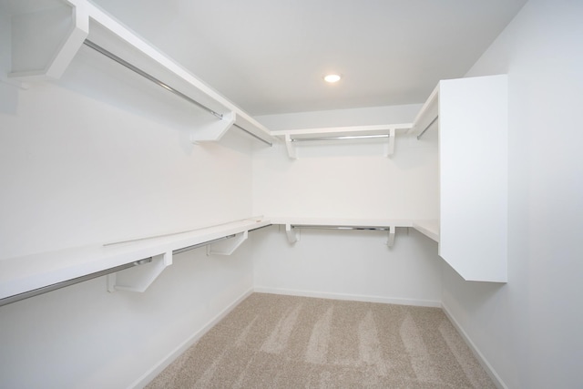 spacious closet with light carpet