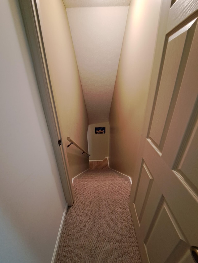 hallway with carpet flooring