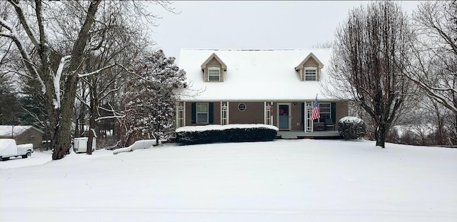 view of cape cod house