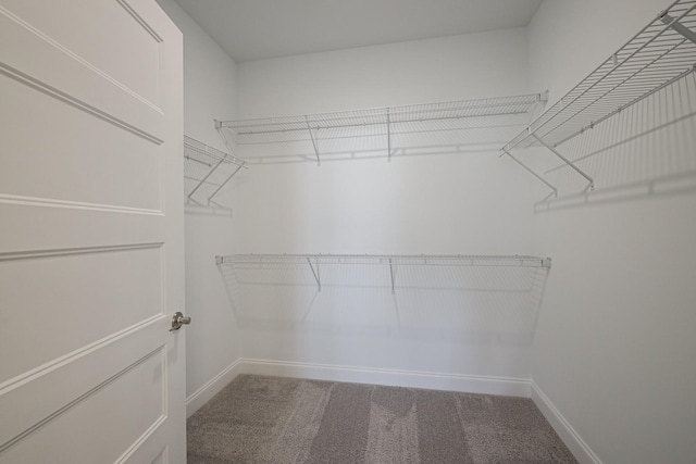 spacious closet with carpet flooring