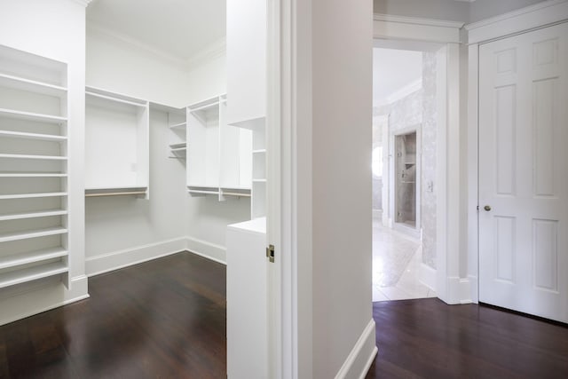 walk in closet featuring dark hardwood / wood-style flooring