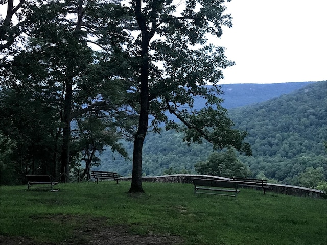 view of community with a yard and a mountain view