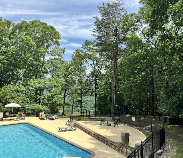 view of pool with a patio