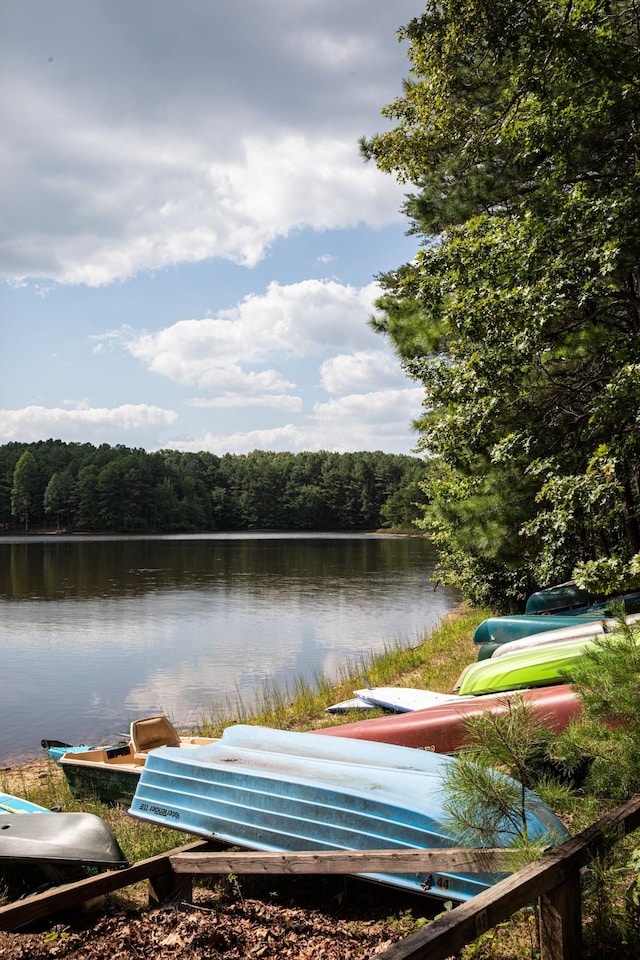 dock area with a water view