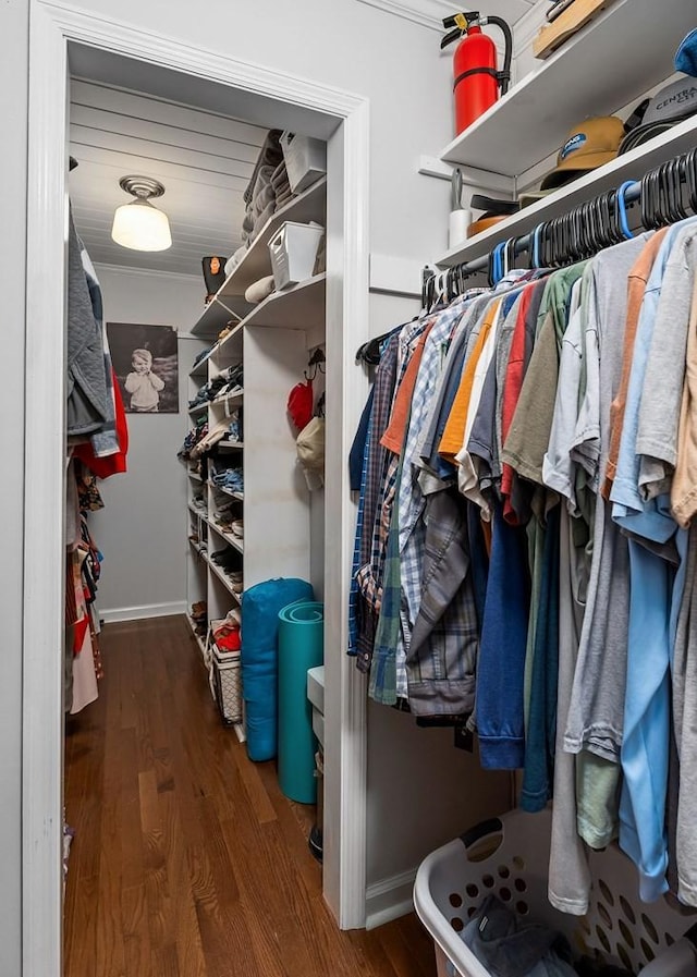 spacious closet featuring dark hardwood / wood-style flooring