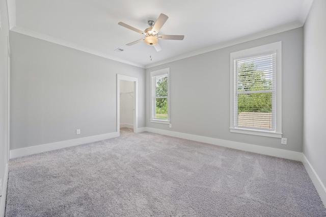 empty room with ceiling fan, ornamental molding, and carpet flooring