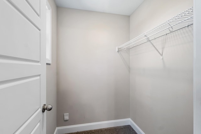 spacious closet featuring carpet