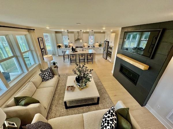 living room featuring light hardwood / wood-style floors and a healthy amount of sunlight