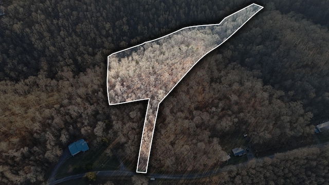 0 W Ln, Gainesboro, TN 38562
