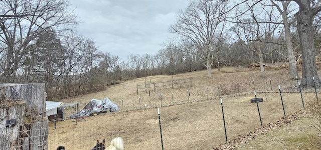 view of yard with a rural view