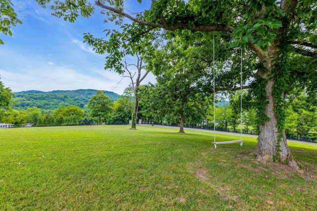 view of yard featuring a mountain view